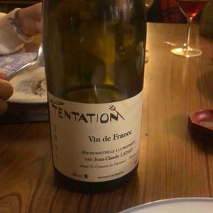 Tentation - Jean-Claude Lapalu - jean-claude-lapalu