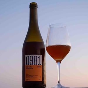 0981 Orange - Samuel Párraga - Samuel Párraga 