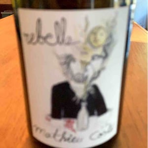 Rebelle Blanc - Domaine Bio Coste - mathieu-coste