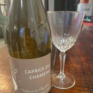 Caprice du Chameau - La Vrille et le Papillon - geraldine-meryl-croizier
