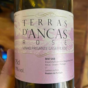 Vinho Frisante Gaseificado - Terras D’Ancas - vitor-manuel-rosa-simoes
