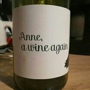 Anne, a wine again - Autour de l'Anne - anne-leclerc-paillet