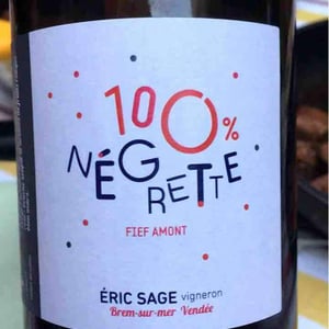 Domaine Éric Sage - Éric Sage - 100% Négrette