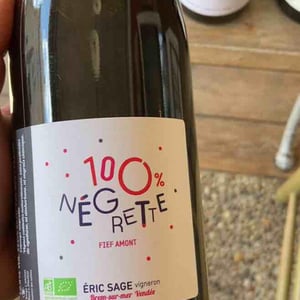 100% Négrette - Domaine Éric Sage - eric-sage