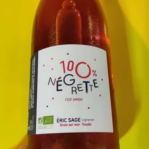 100% Négrette - Domaine Éric Sage - Éric Sage -2022