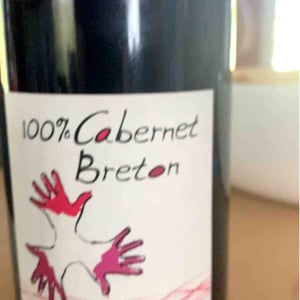 100% Cabernet Breton - Les Grandes Vignes - laurence-dominique-jean-francois-vaillant
