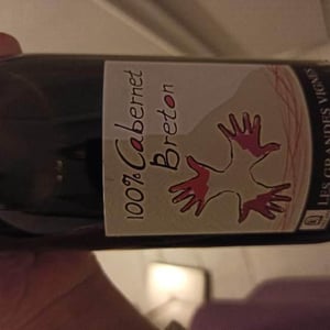 Les Grandes Vignes - Laurence, Dominique & Jean-François Vaillant - 100% Cabernet Breton
