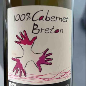 100% Cabernet Breton - Les Grandes Vignes - Laurence, Dominique & Jean-François Vaillant 