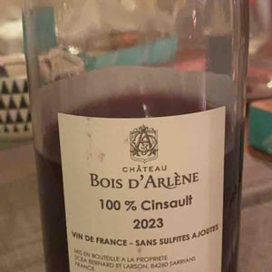 100% cinsault - Bois d’arlene - louise-norge-arlene-elizabeth-et-philippe -2023