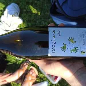 100% Groslot Blanc - Les Grandes Vignes - laurence-dominique-jean-francois-vaillant