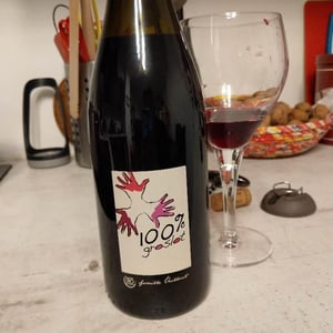 100% Groslot - Les Grandes Vignes - laurence-dominique-jean-francois-vaillant