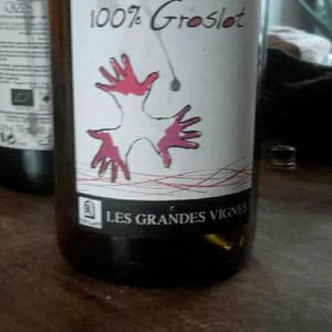 Les Grandes Vignes - Laurence, Dominique & Jean-François Vaillant - 100% Groslot