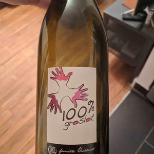 100% Groslot - Les Grandes Vignes - Laurence, Dominique & Jean-François Vaillant 