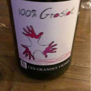 100% Groslot - Les Grandes Vignes - Laurence, Dominique & Jean-François Vaillant