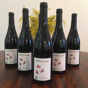 Les Grandes Vignes - Laurence, Dominique & Jean-François Vaillant - 100% Groslot