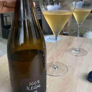 100% Ilegal - MicroBioWines - ismael-gozalo
