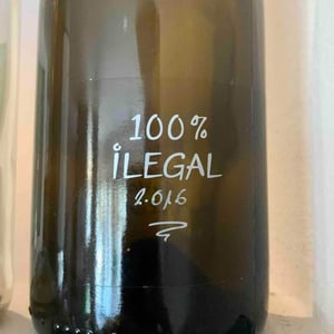 100% Ilegal - MicroBioWines - ismael-gozalo