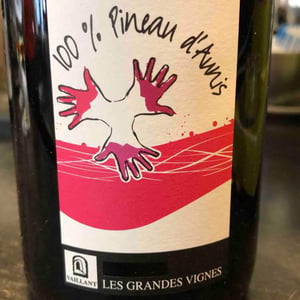 Les Grandes Vignes - Laurence, Dominique & Jean-François Vaillant - 100% Pineau d'Aunis