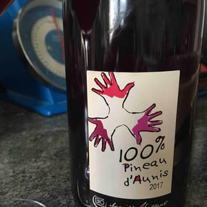 Les Grandes Vignes - Laurence, Dominique & Jean-François Vaillant - 100% Pineau d'Aunis