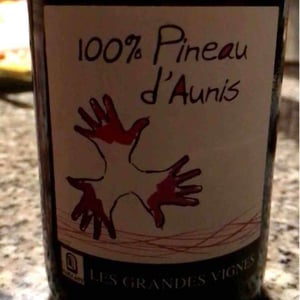 Les Grandes Vignes - Laurence, Dominique & Jean-François Vaillant - 100% Pineau d'Aunis