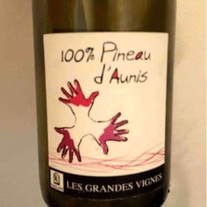 Les Grandes Vignes - Laurence, Dominique & Jean-François Vaillant - 100% Pineau d'Aunis