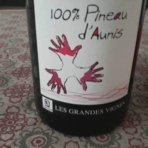 Les Grandes Vignes - Laurence, Dominique & Jean-François Vaillant - 100% Pineau d'Aunis