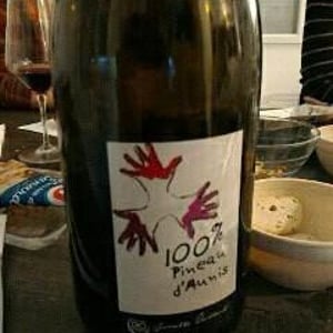 Les Grandes Vignes - Laurence, Dominique & Jean-François Vaillant - 100% Pineau d'Aunis