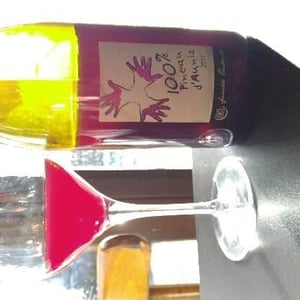 Les Grandes Vignes - Laurence, Dominique & Jean-François Vaillant - 100% Pineau d'Aunis