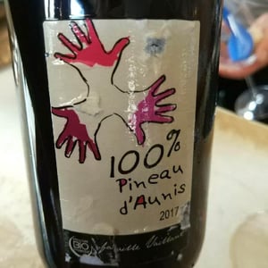 Les Grandes Vignes - Laurence, Dominique & Jean-François Vaillant - 100% Pineau d'Aunis