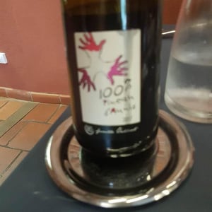 Les Grandes Vignes - Laurence, Dominique & Jean-François Vaillant - 100% Pineau d'Aunis