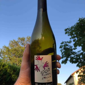 Les Grandes Vignes - Laurence, Dominique & Jean-François Vaillant - 100% Pineau d'Aunis
