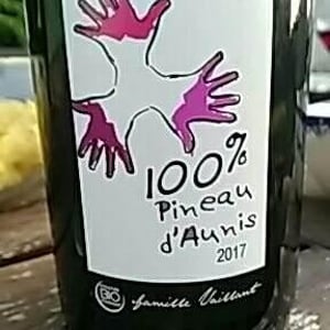 Les Grandes Vignes - Laurence, Dominique & Jean-François Vaillant - 100% Pineau d'Aunis