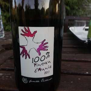 Les Grandes Vignes - Laurence, Dominique & Jean-François Vaillant - 100% Pineau d'Aunis