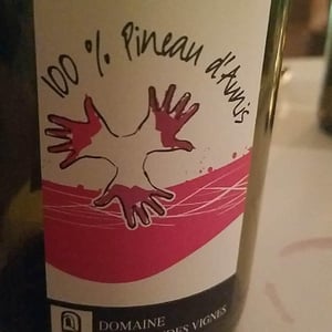 Les Grandes Vignes - Laurence, Dominique & Jean-François Vaillant - 100% Pineau d'Aunis
