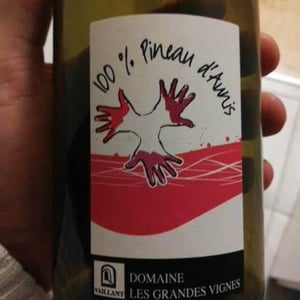 Les Grandes Vignes - Laurence, Dominique & Jean-François Vaillant - 100% Pineau d'Aunis
