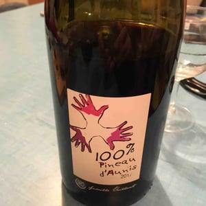 Les Grandes Vignes - Laurence, Dominique & Jean-François Vaillant - 100% Pineau d'Aunis
