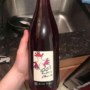 Les Grandes Vignes - Laurence, Dominique & Jean-François Vaillant - 100% Pineau d'Aunis