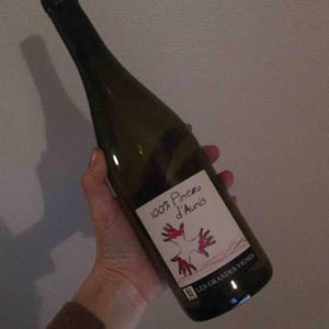 Les Grandes Vignes - Laurence, Dominique & Jean-François Vaillant - 100% Pineau d'Aunis