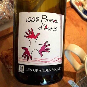 Les Grandes Vignes - Laurence, Dominique & Jean-François Vaillant - 100% Pineau d'Aunis