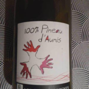 Les Grandes Vignes - Laurence, Dominique & Jean-François Vaillant - 100% Pineau d'Aunis