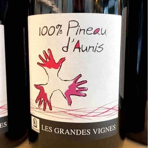 100% Pineau d'Aunis - Les Grandes Vignes - laurence-dominique-jean-francois-vaillant