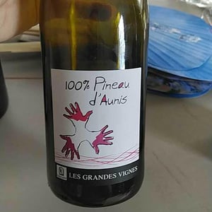 Les Grandes Vignes - Laurence, Dominique & Jean-François Vaillant - 100% Pineau d'Aunis