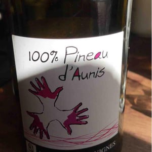 Les Grandes Vignes - Laurence, Dominique & Jean-François Vaillant - 100% Pineau d'Aunis