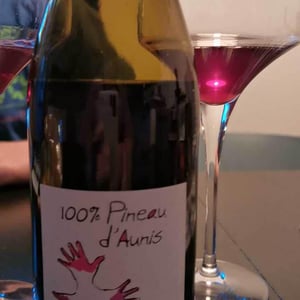Les Grandes Vignes - Laurence, Dominique & Jean-François Vaillant - 100% Pineau d'Aunis