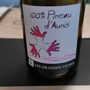 Les Grandes Vignes - Laurence, Dominique & Jean-François Vaillant - 100% Pineau d'Aunis