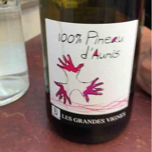 Les Grandes Vignes - Laurence, Dominique & Jean-François Vaillant - 100% Pineau d'Aunis