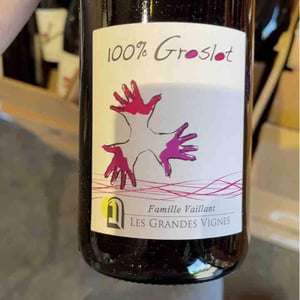 100% Pineau d'Aunis - Les Grandes Vignes - laurence-dominique-jean-francois-vaillant