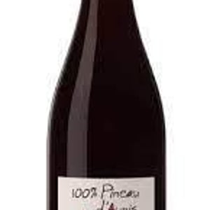 100% Pineau d'Aunis - Les Grandes Vignes - laurence-dominique-jean-francois-vaillant