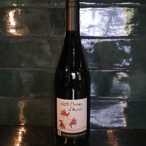 100% Pineau d'Aunis - Les Grandes Vignes - laurence-dominique-jean-francois-vaillant