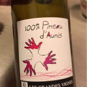 Les Grandes Vignes - Laurence, Dominique & Jean-François Vaillant - 100% Pineau d'Aunis